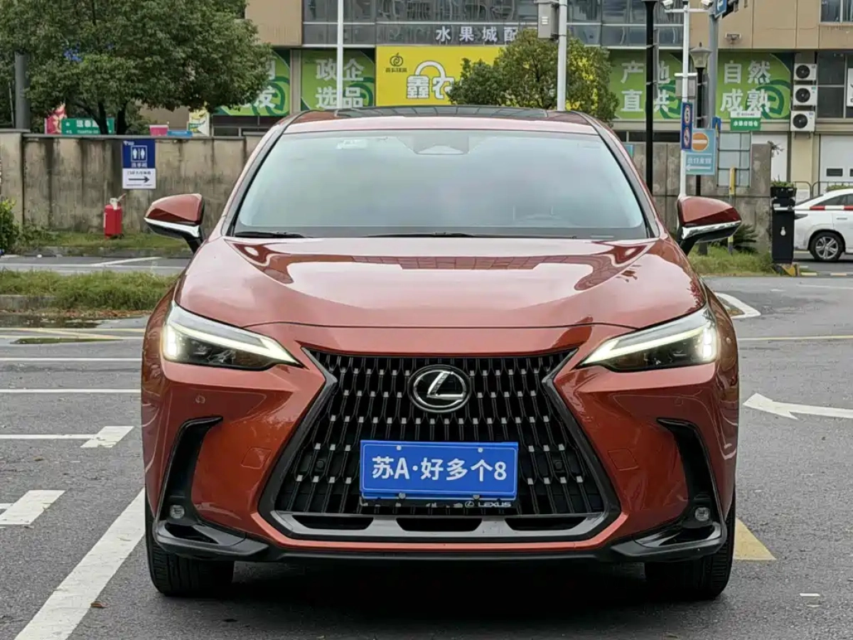 LEXUS NX