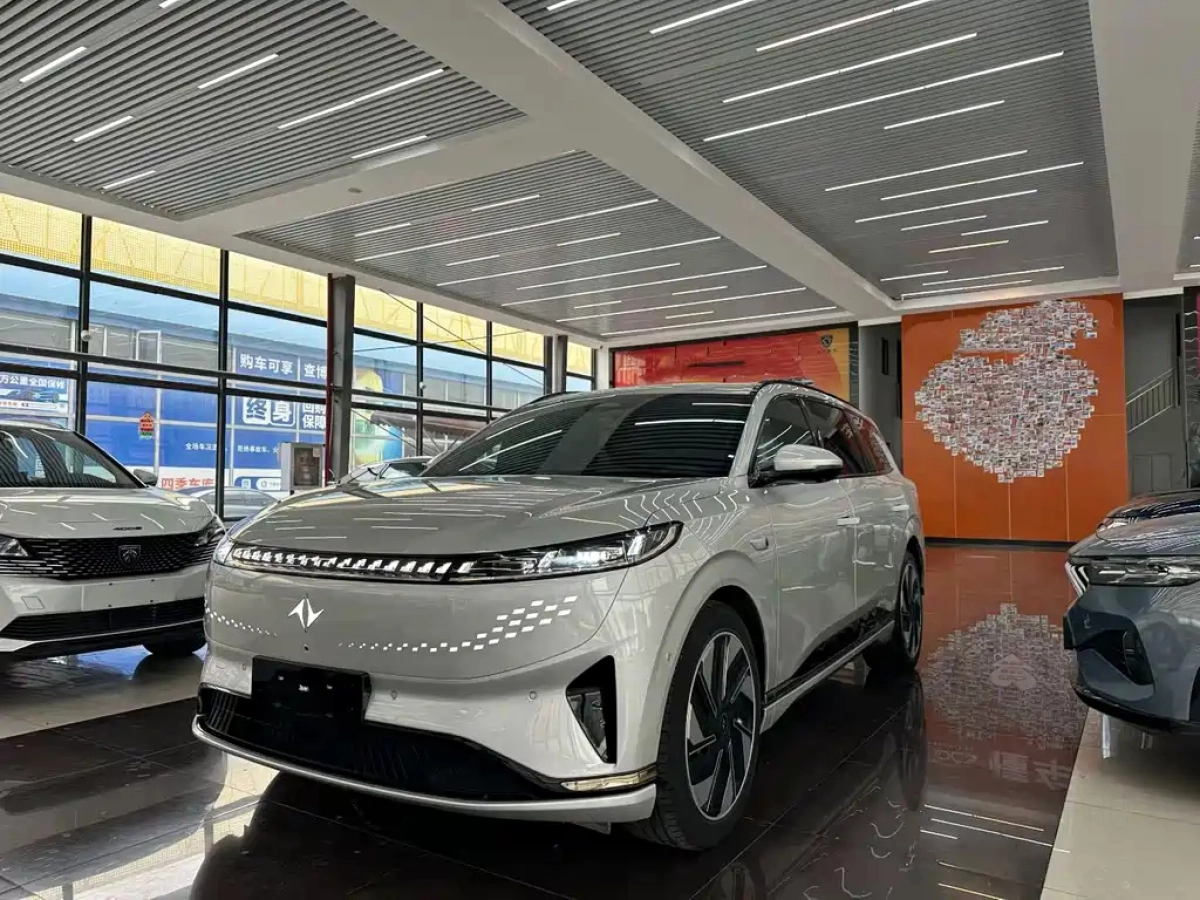 DONGFENG EP0 08  2024