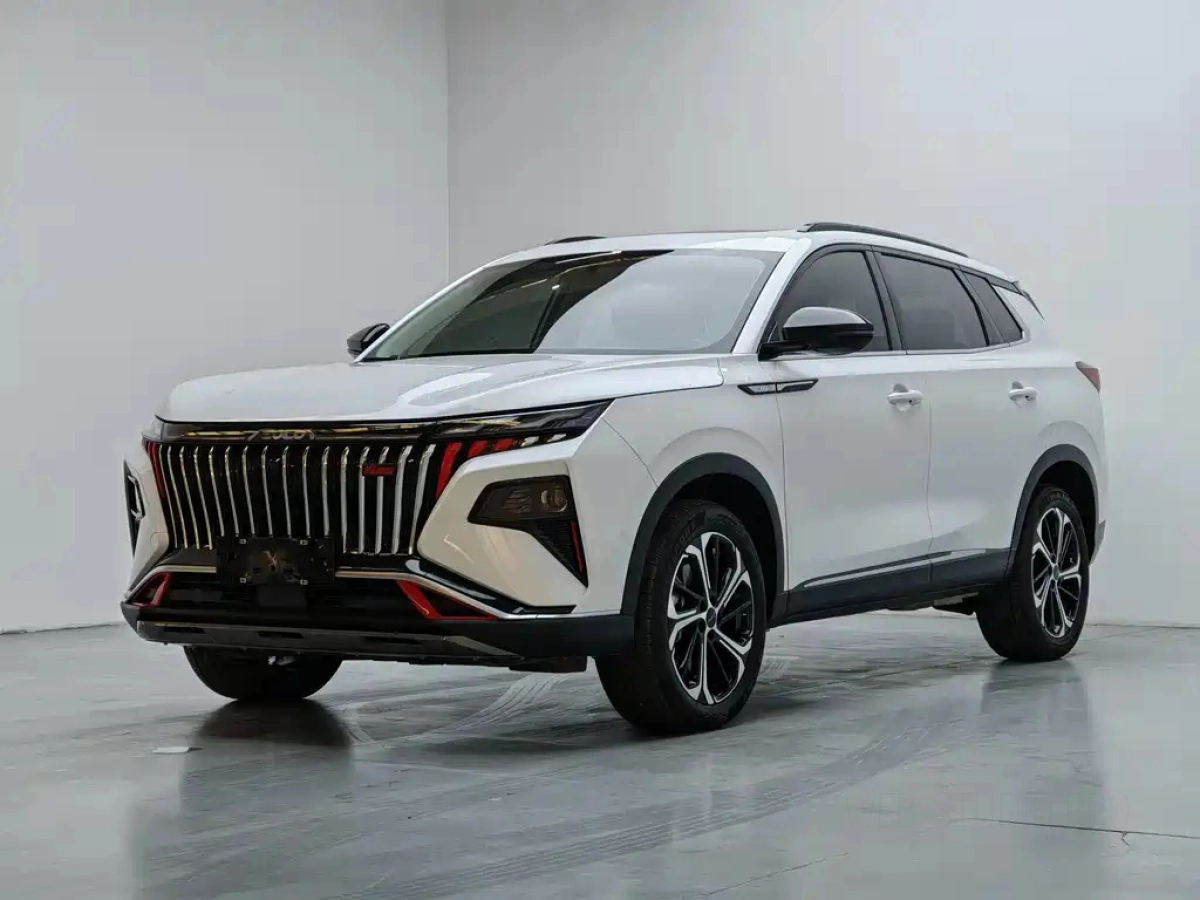 DONGFENG HAOJI  2024