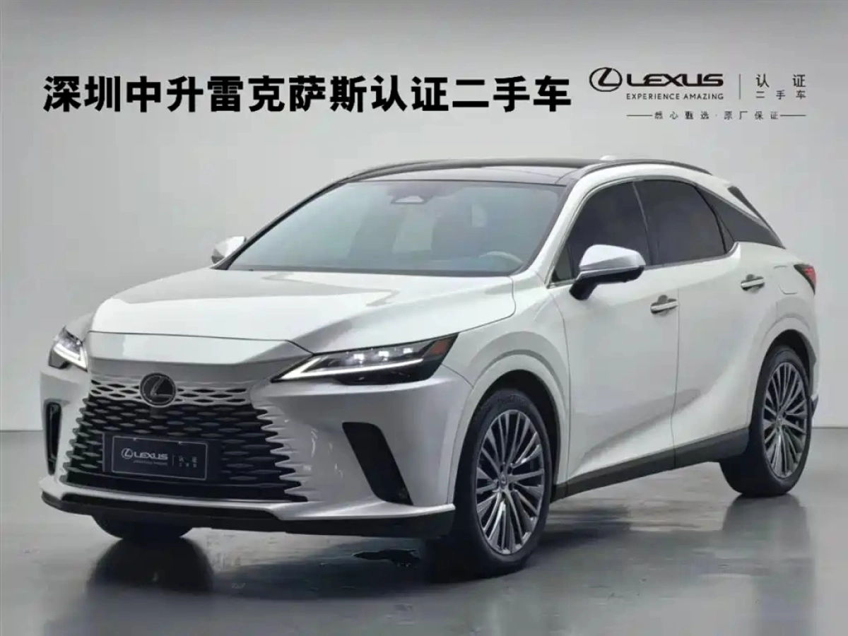 LEXUS RX NEW ENERGY