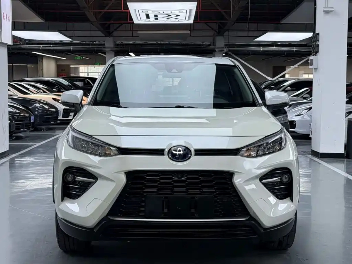 TOYOTA WILDLANDER