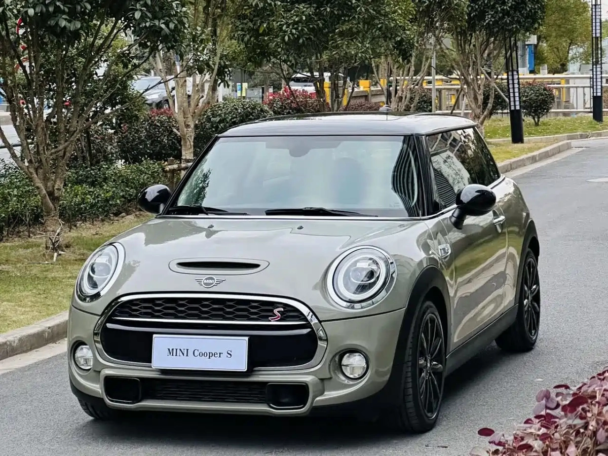 MINI OTHER  2019