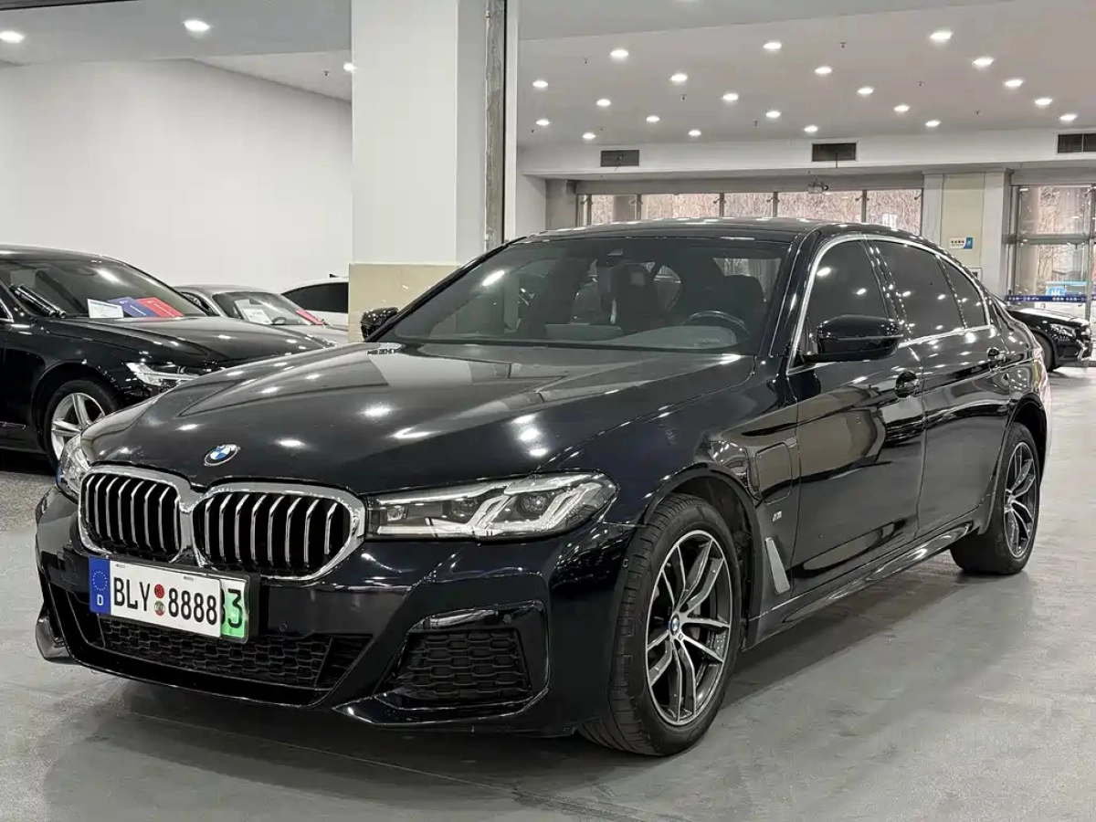 BMW 5 SERIES NEW ENERGY  2021