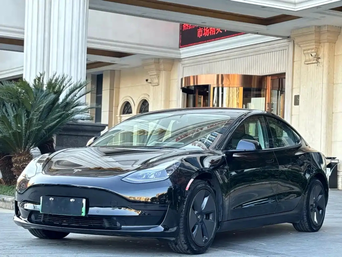 TESLA MODEL 3  2021