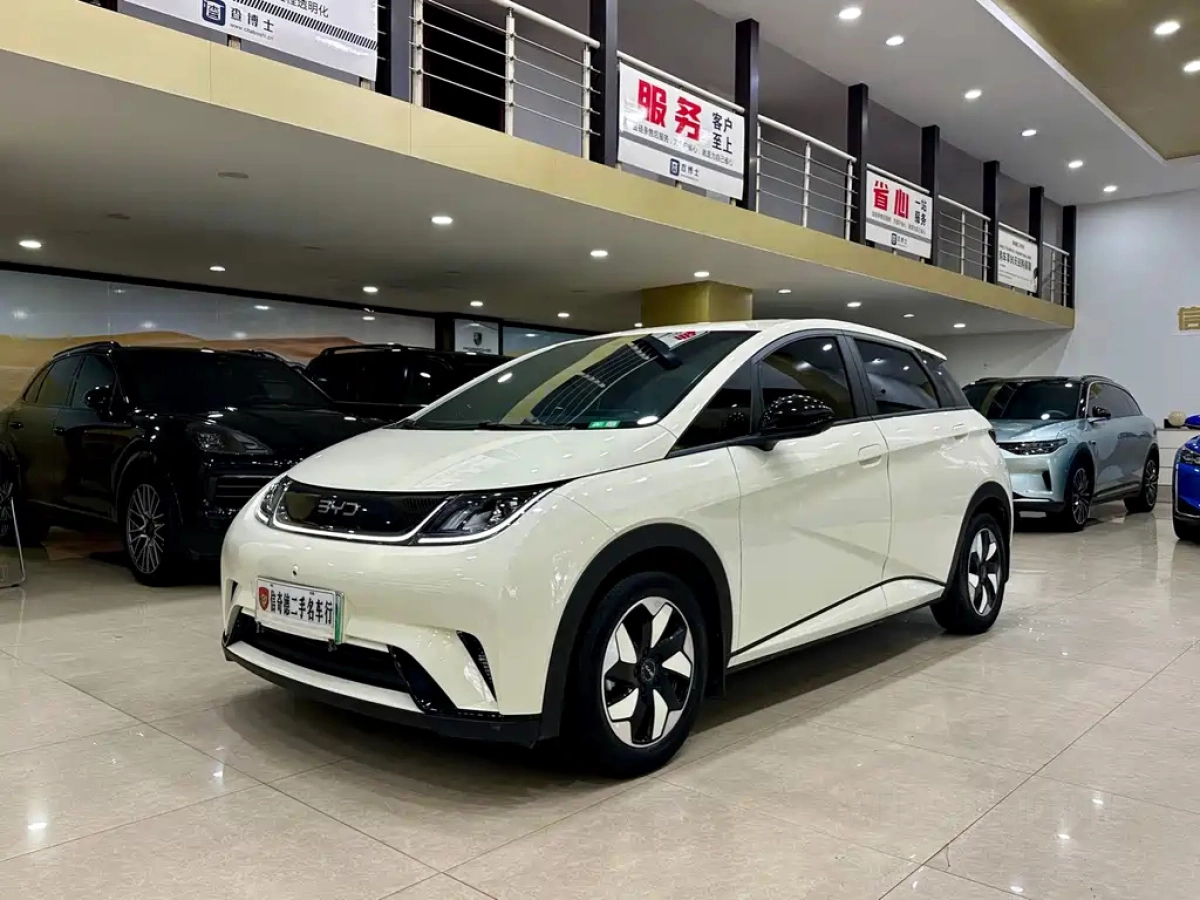 BYD DOLPHIN  2024