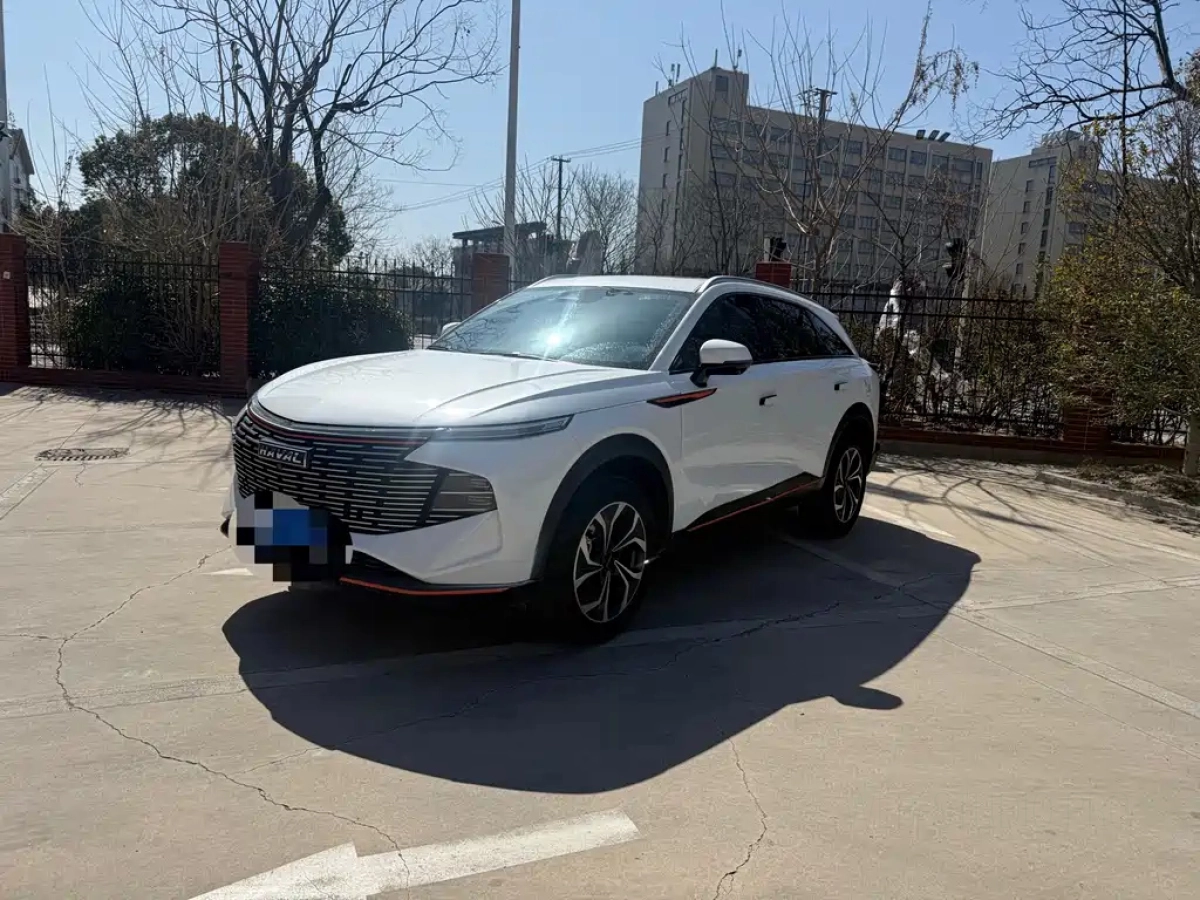 HAVAL SHENSHOU  2022