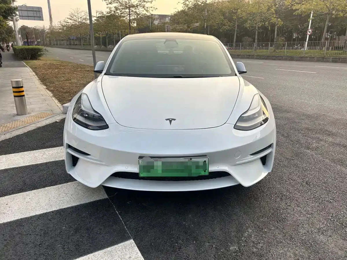 TESLA MODEL 3 IMPORT