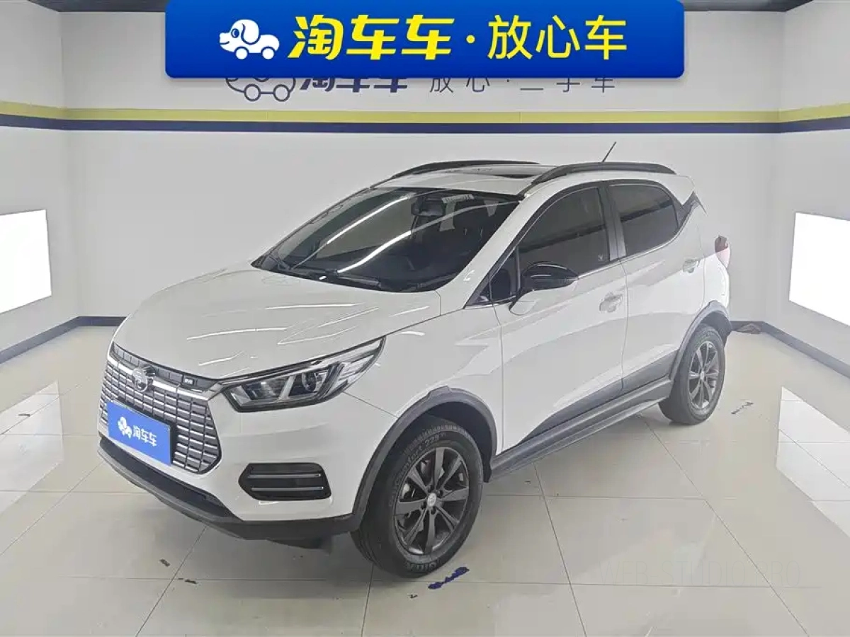BYD YUAN NEW ENERGY  2019