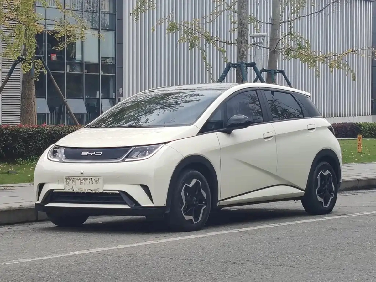 BYD DOLPHIN  2023