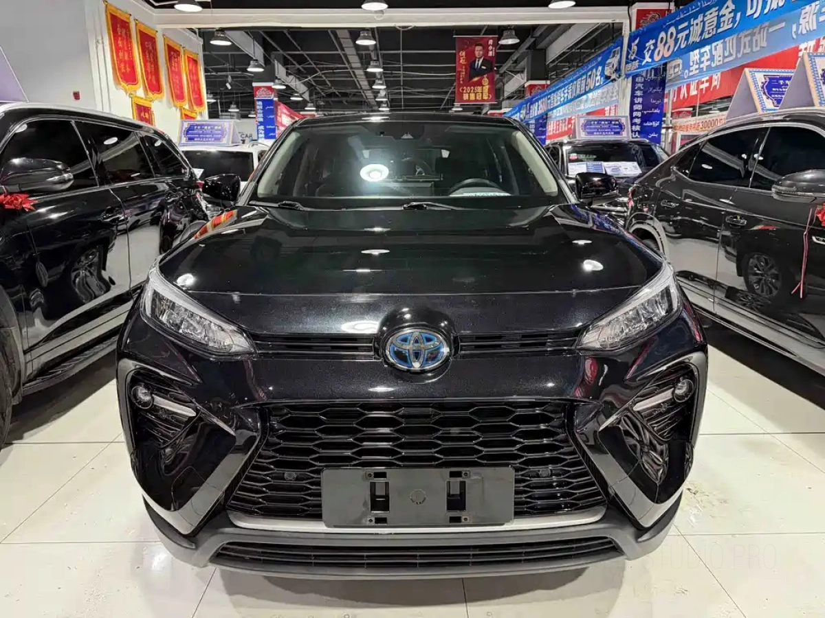 TOYOTA WILDLANDER