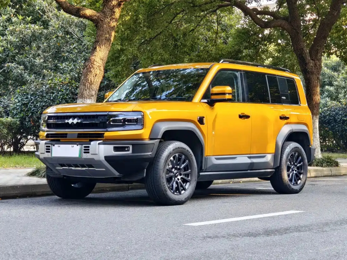 BYD FANGCHENG BAO 5  2024