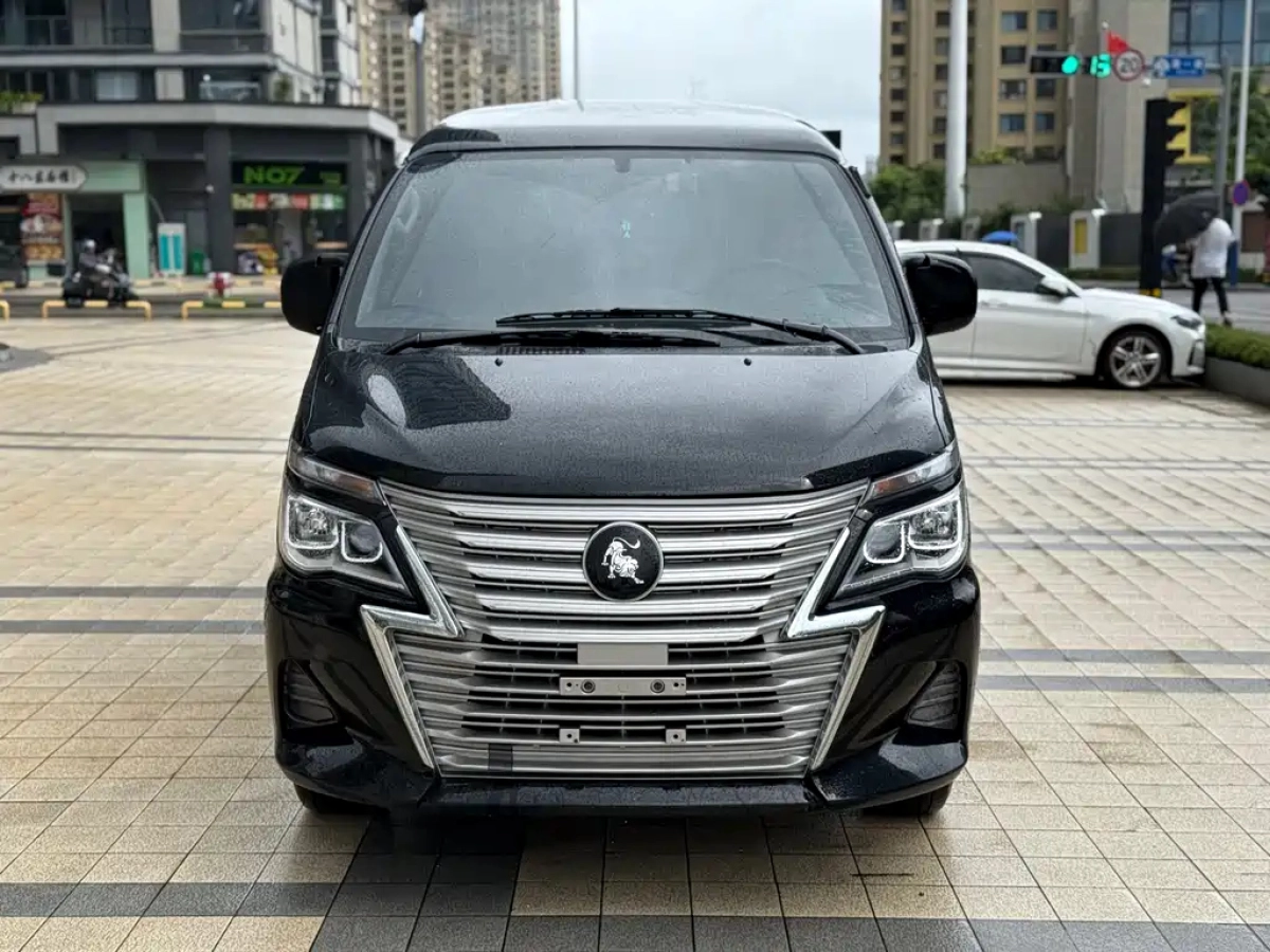 DONGFENG LINGZHI