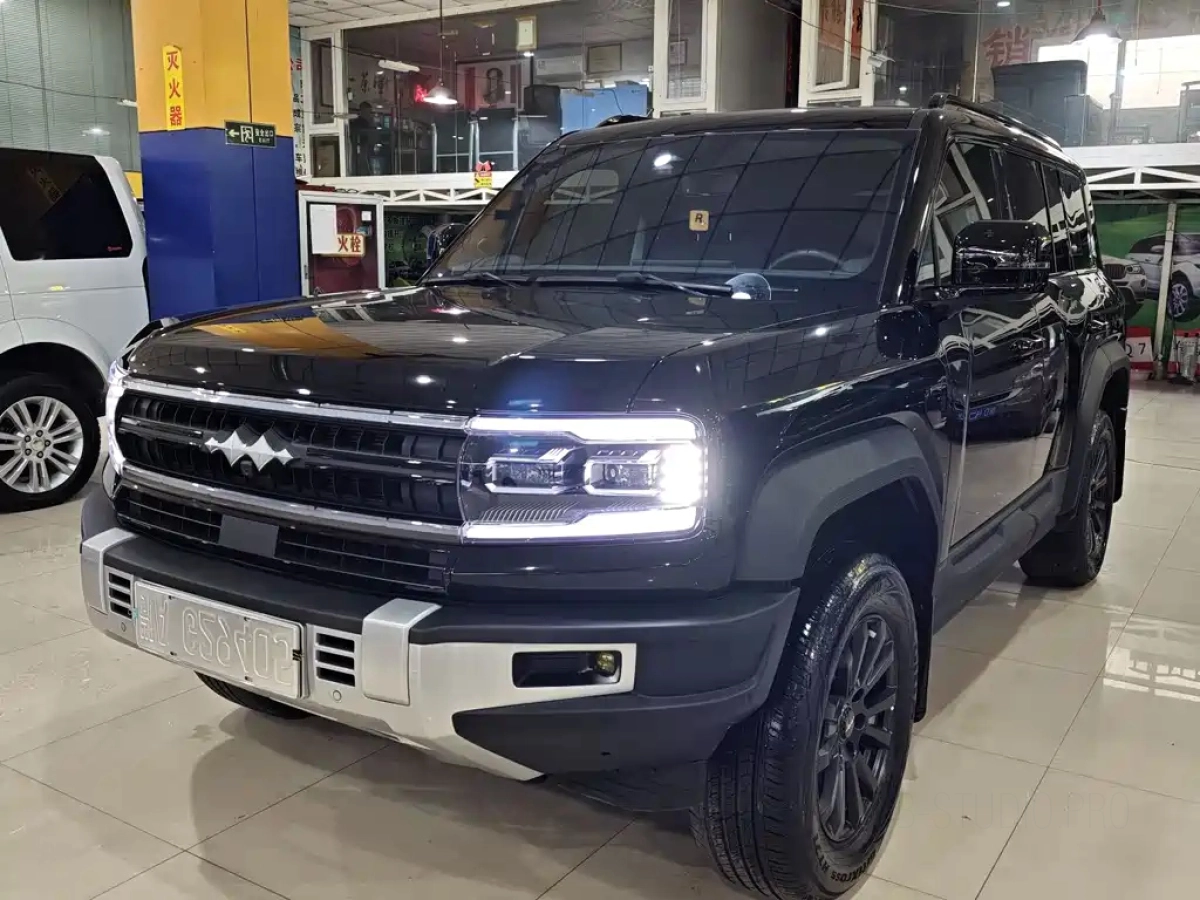 BYD FANGCHENG BAO 5  2024