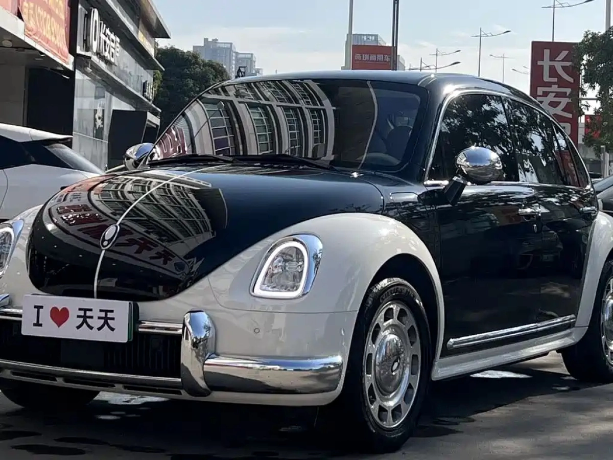 ORA BALLET CAT  2022