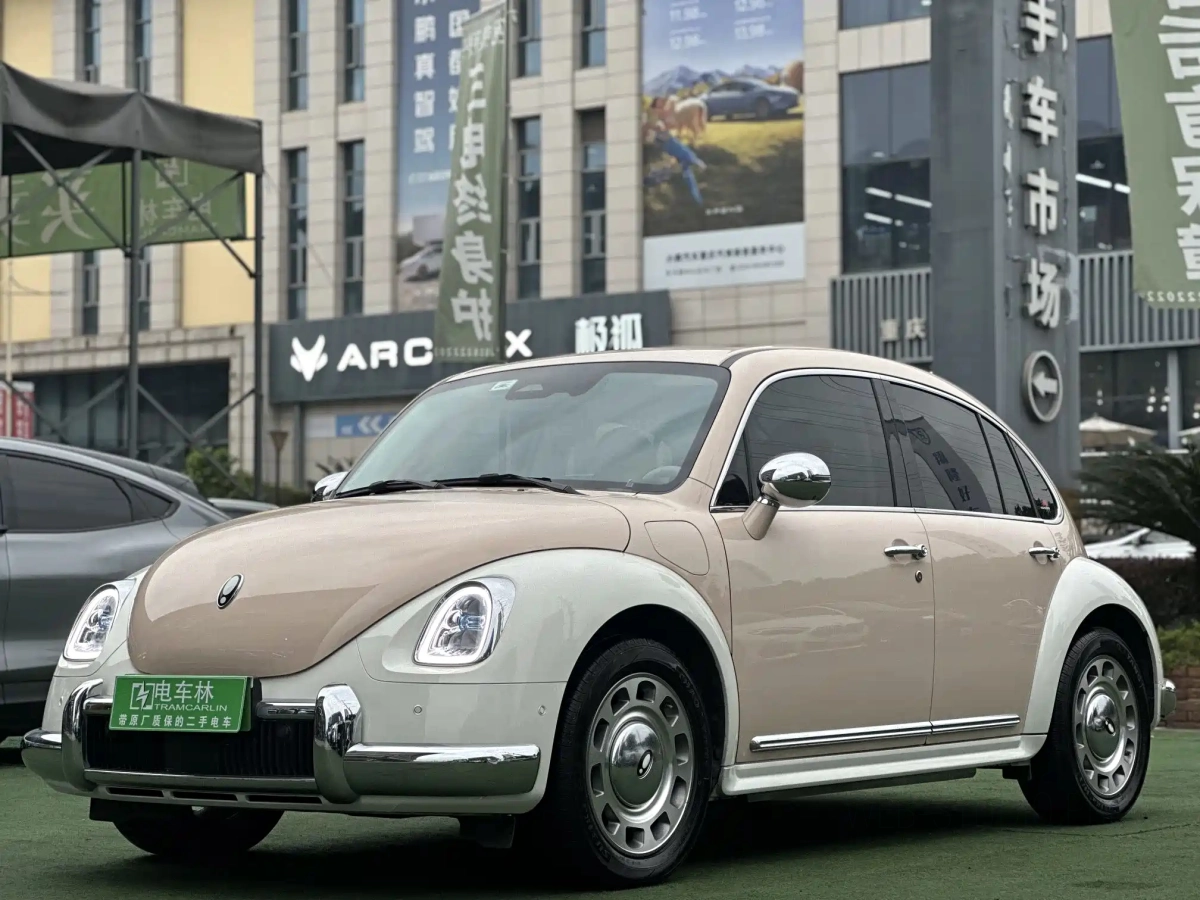 ORA BALLET CAT  2022