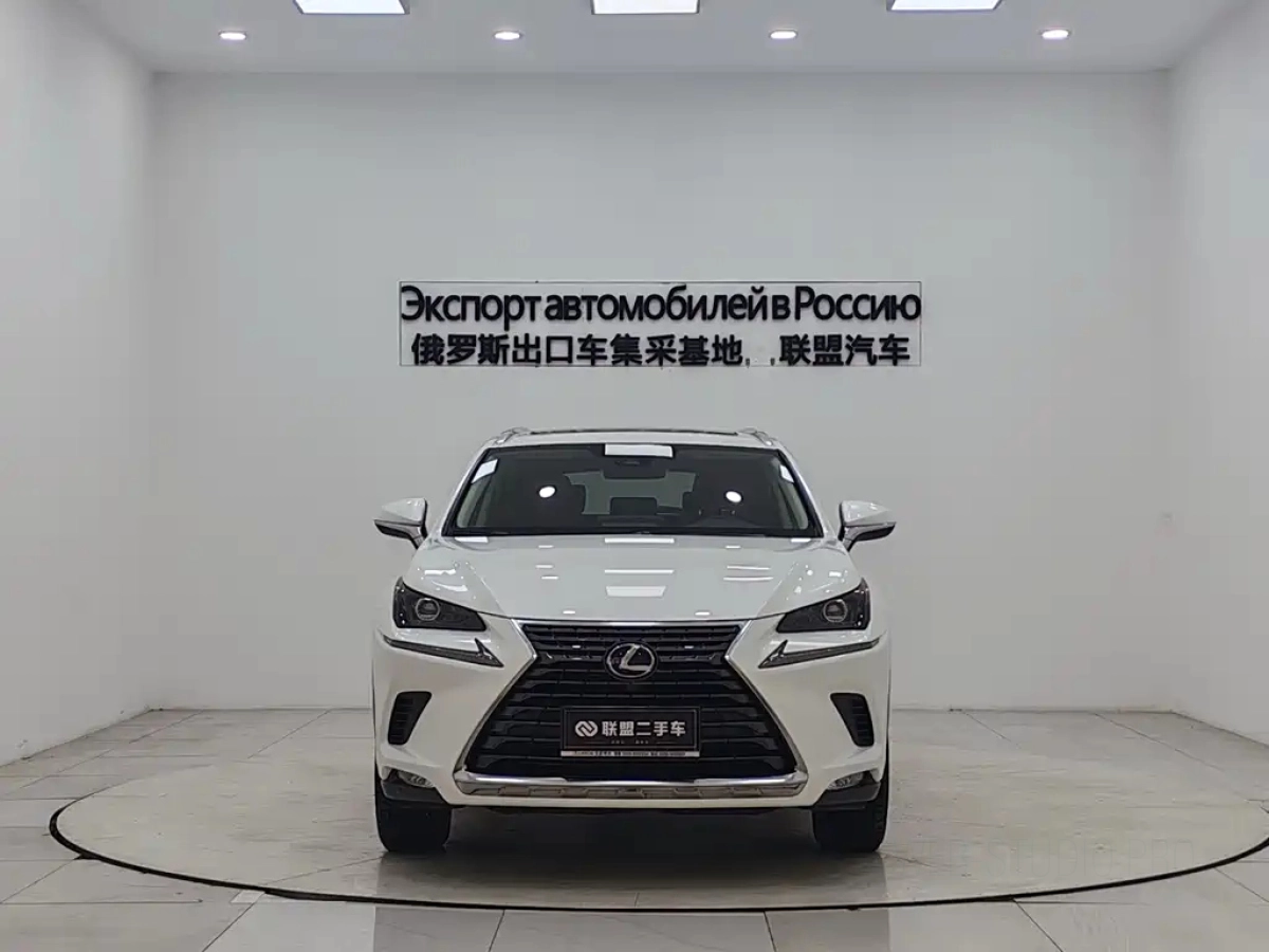 LEXUS NX