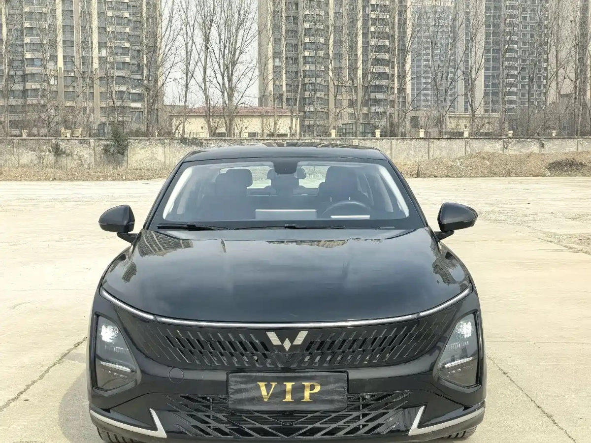 WULING XINGGUANG  2024