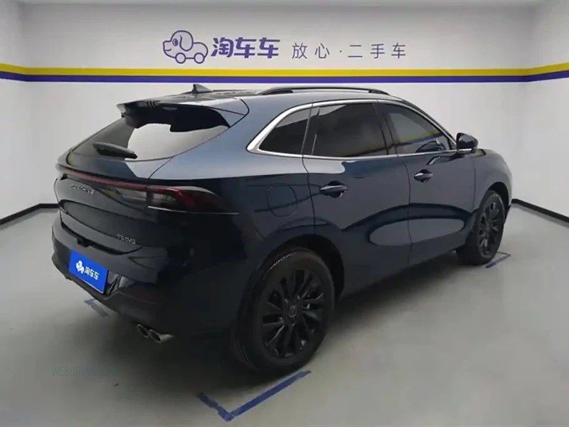 DONGFENG FORTHING T5 EVO