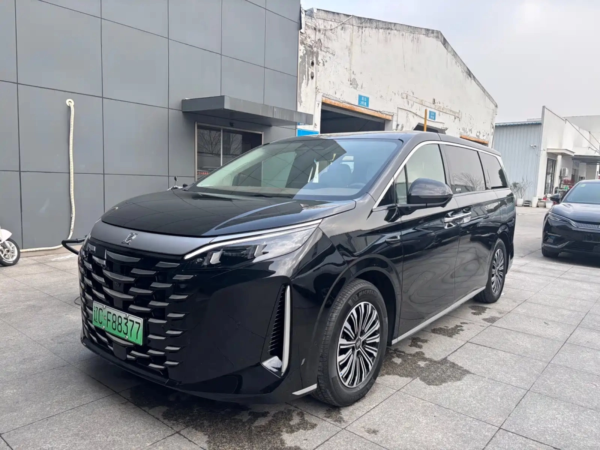 BYD XIA  2025