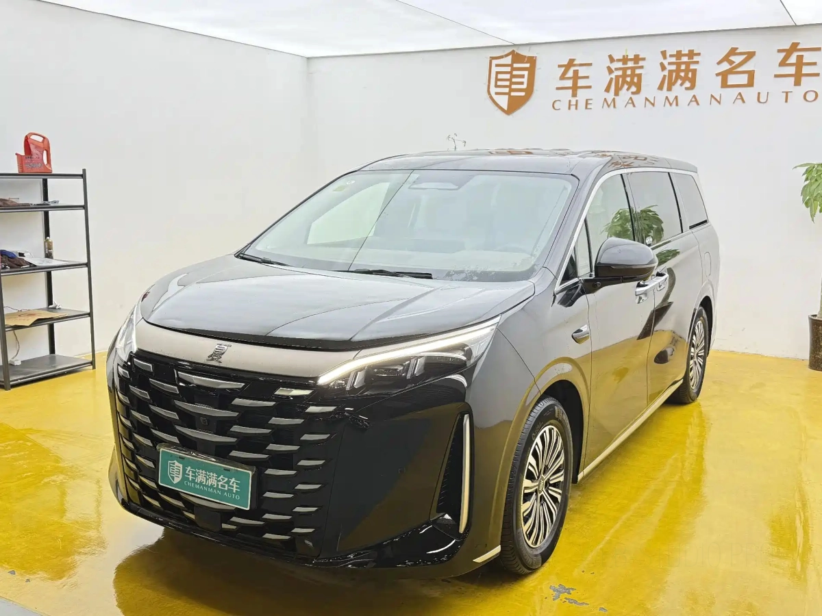 BYD XIA  2025