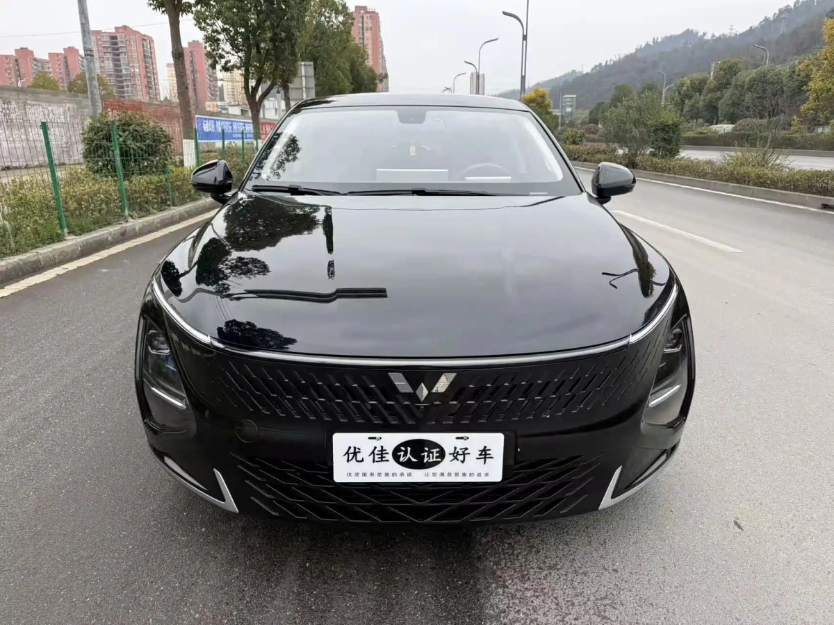 WULING XINGGUANG  2024