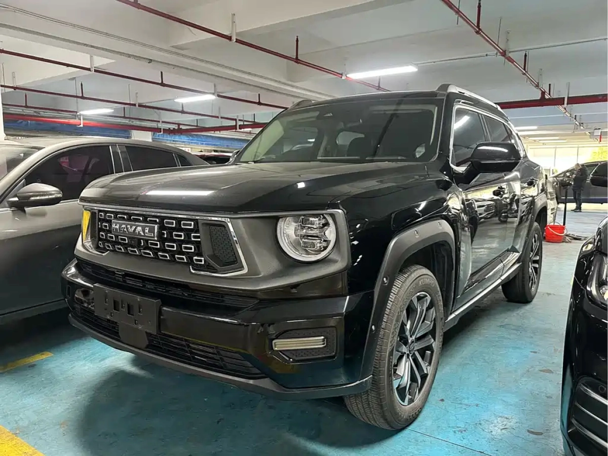 HAVAL DAGOU II  2024