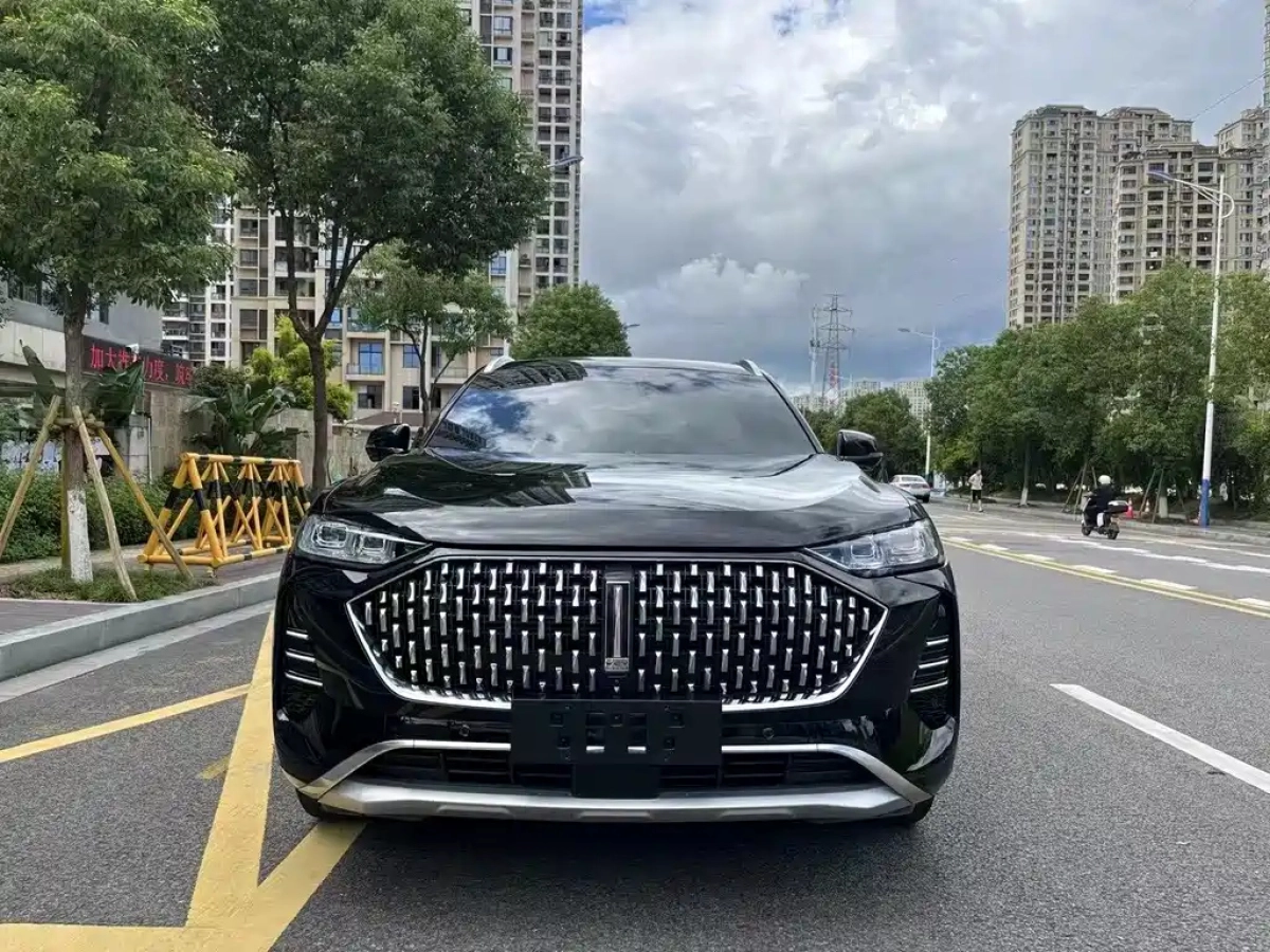 WEY MOCHA NEW ENERGY