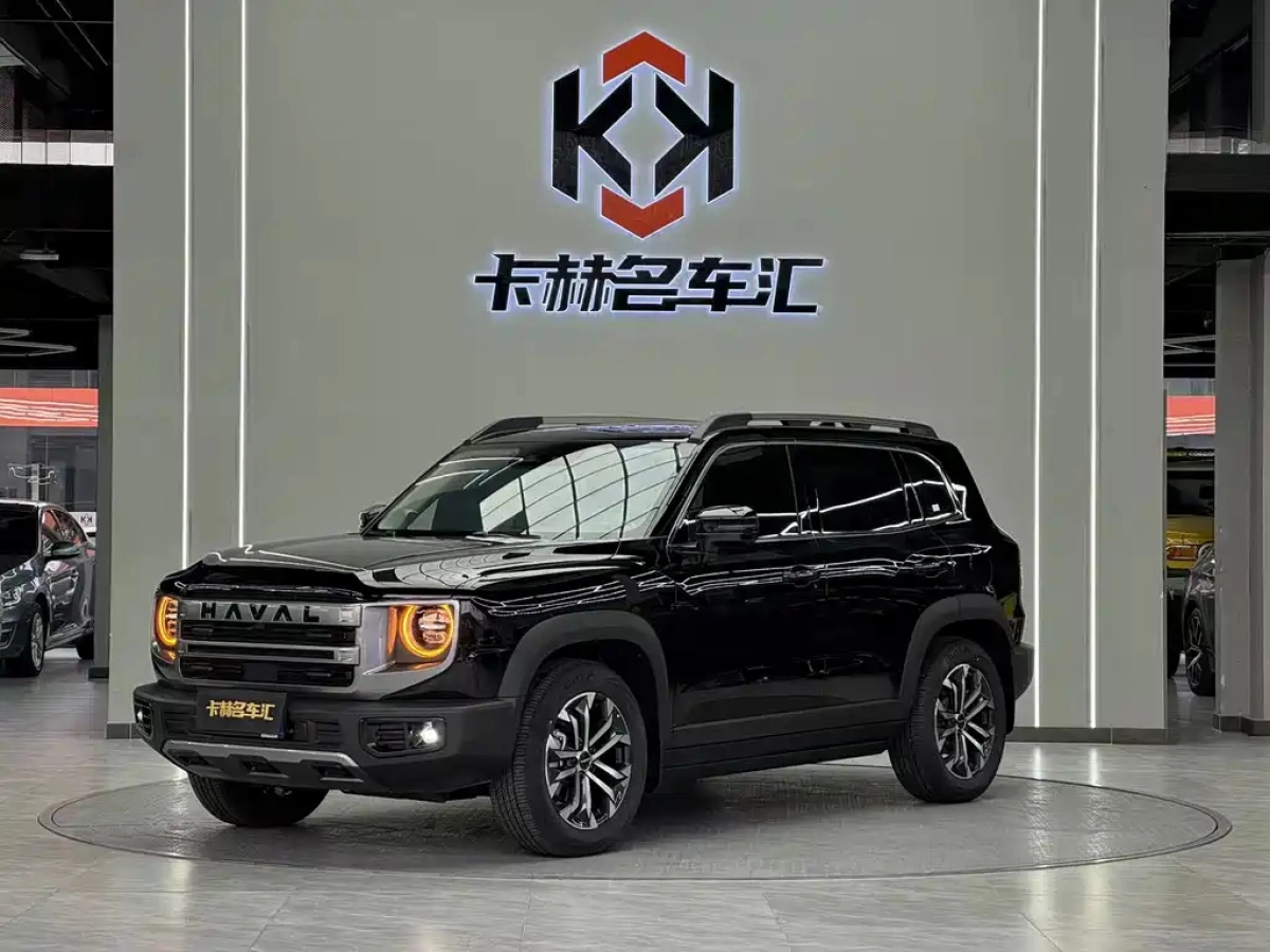 HAVAL DAGOU  2024
