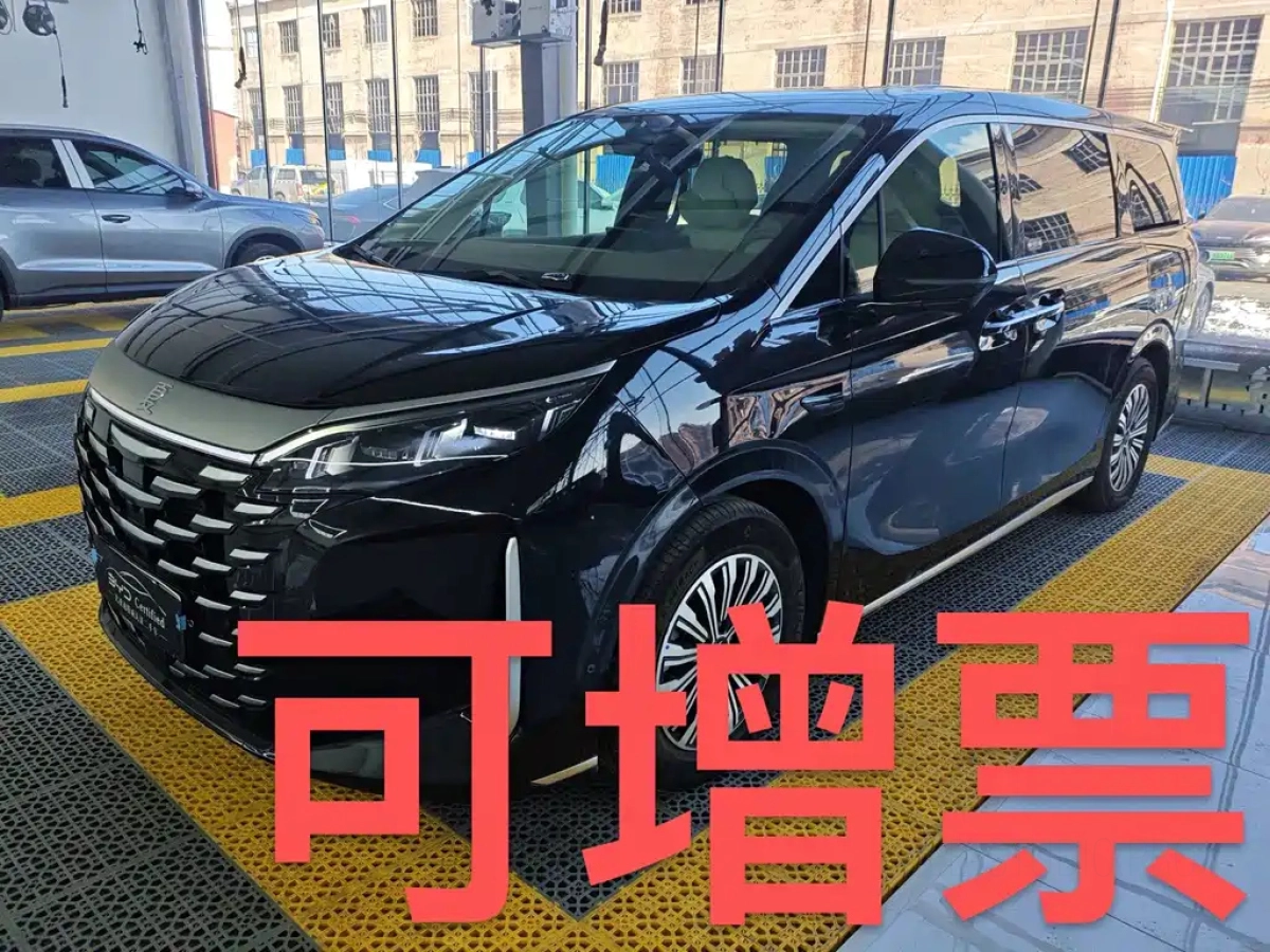 BYD XIA  2025