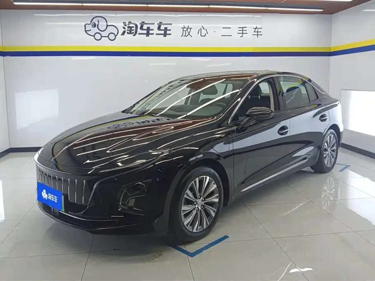 HONGQI E-QM5