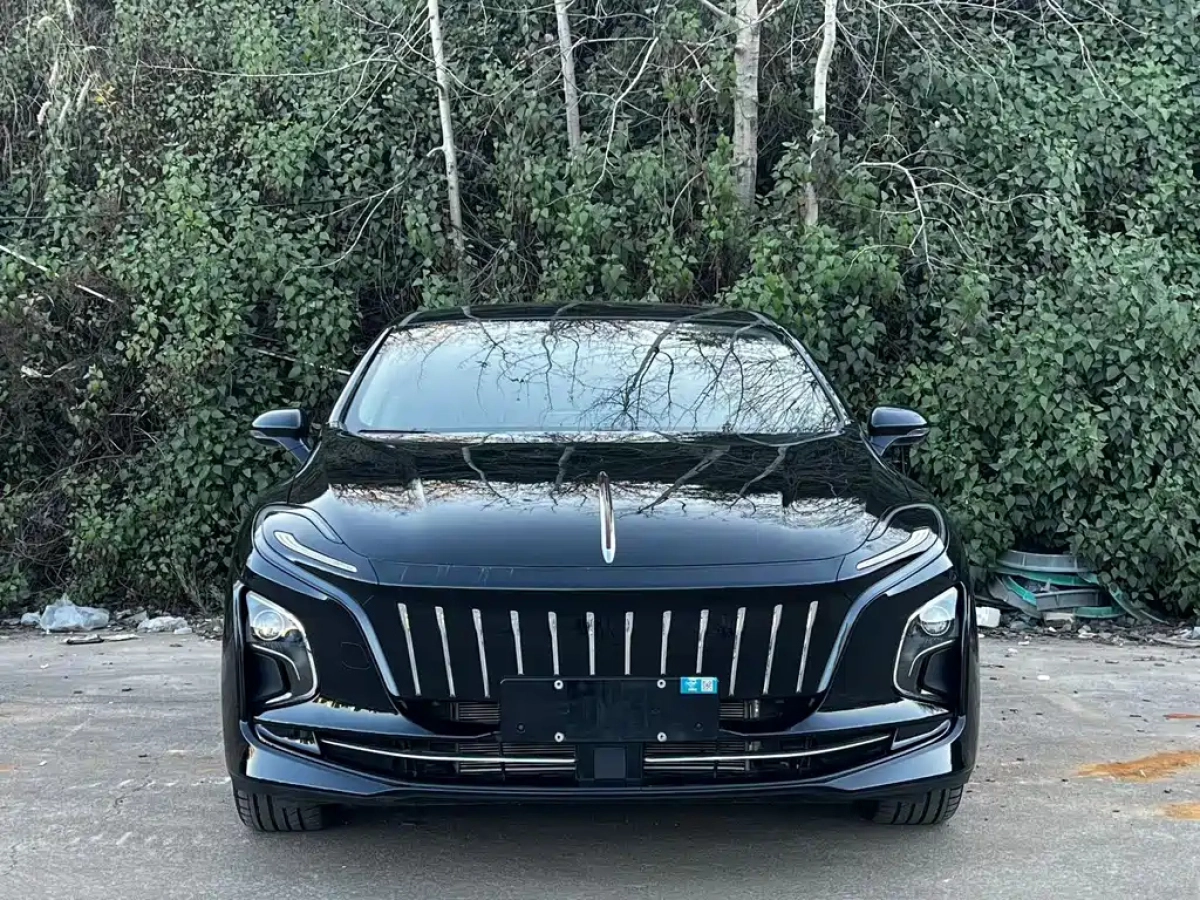 HONGQI E-QM5