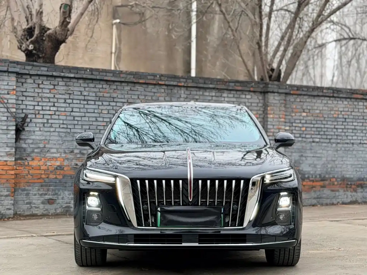 HONGQI H5 PHEV