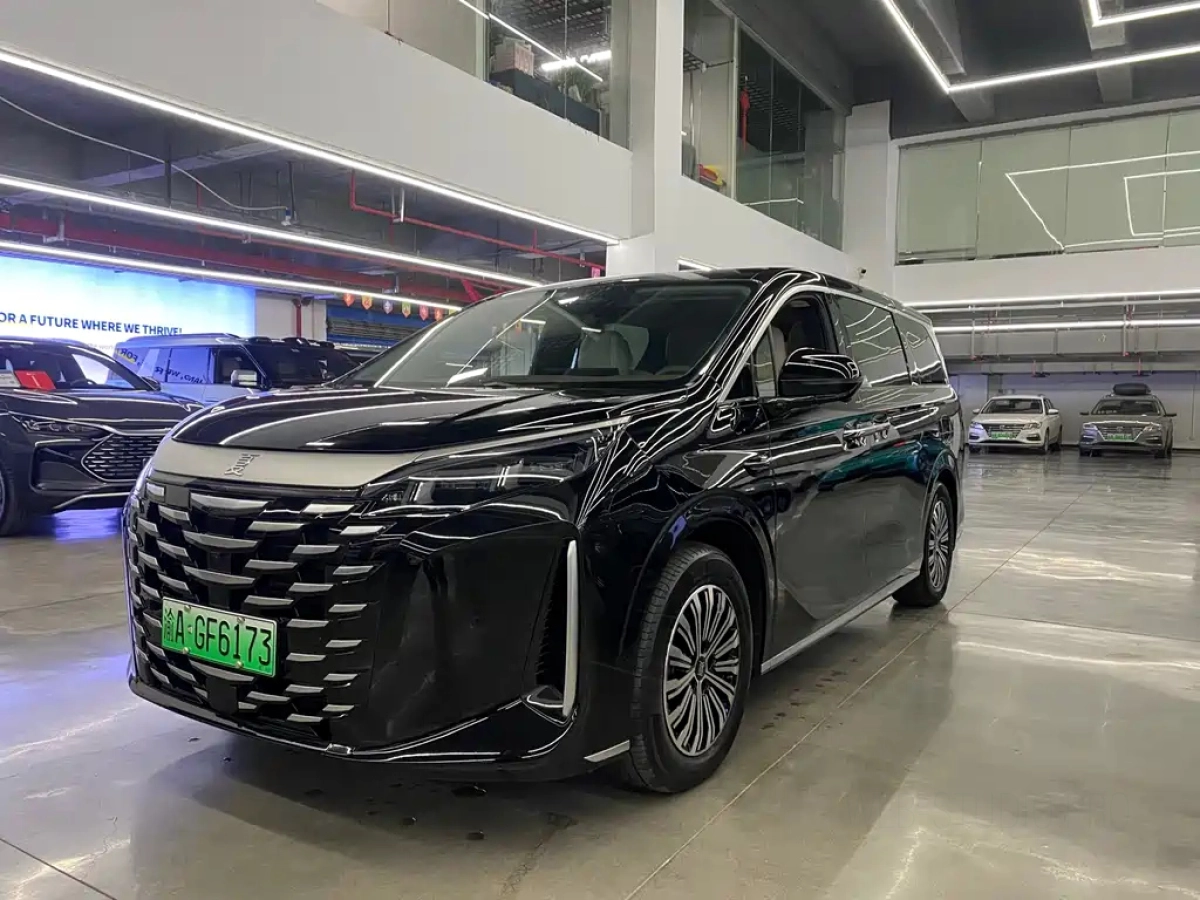 BYD XIA  2025