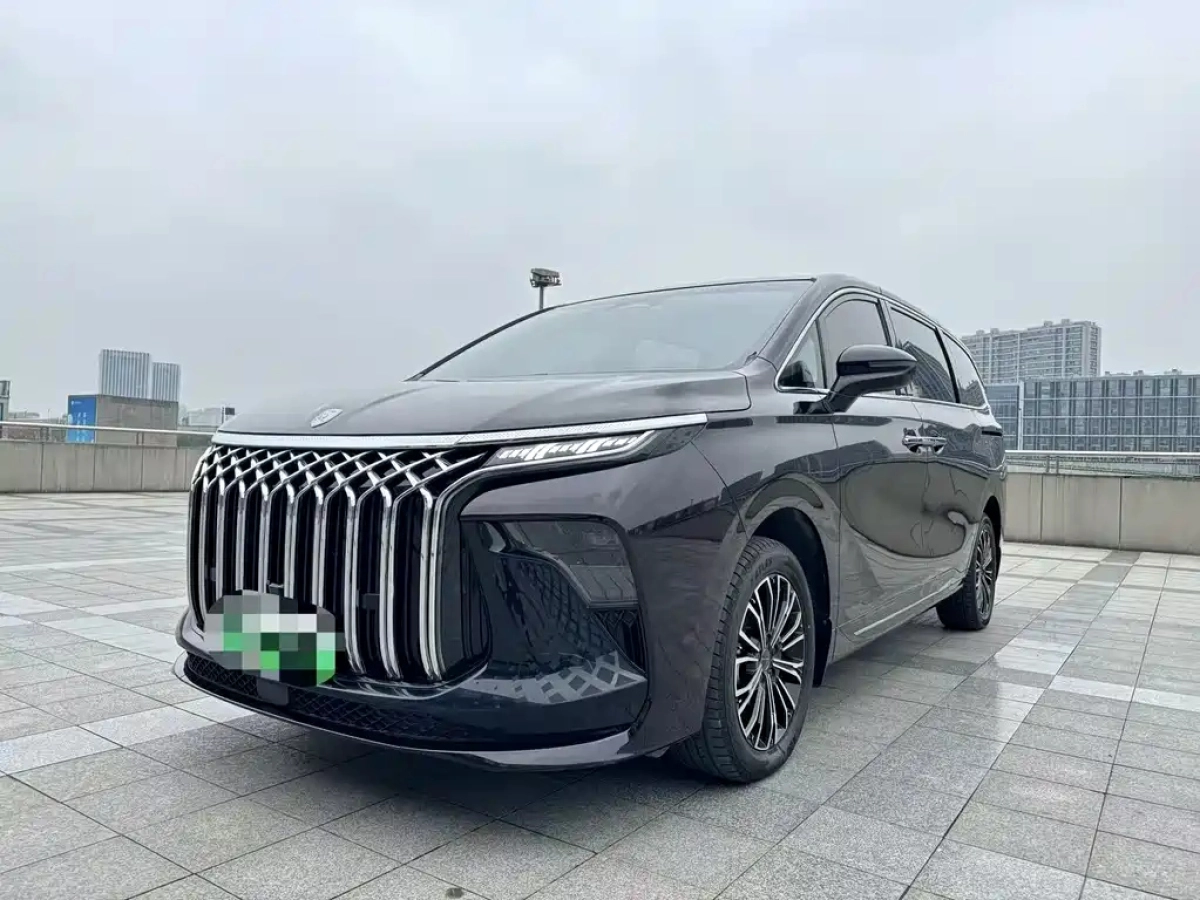 DONGFENG XINGHAI V9  2024