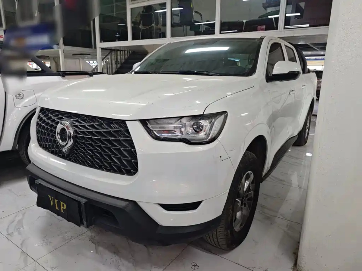 GREAT WALL POER  2022