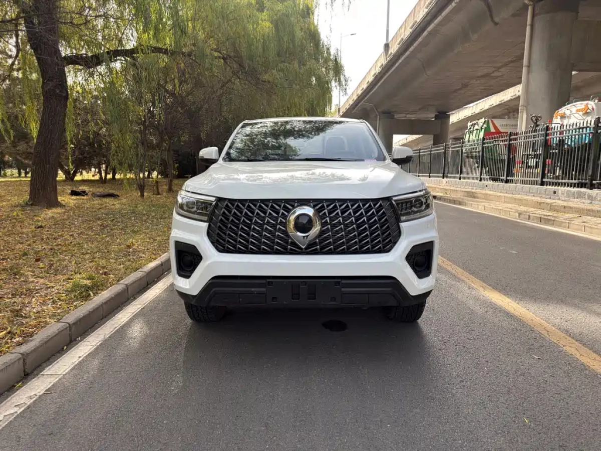 GREAT WALL POER  2024