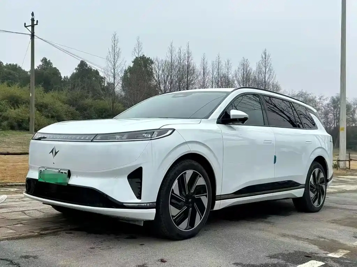 DONGFENG EP0 08  2025