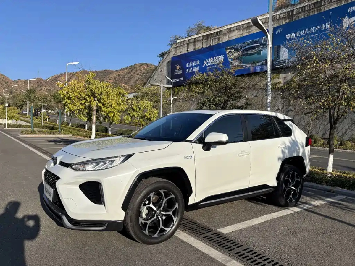 TOYOTA WILDLANDER NEW ENERGY  2022