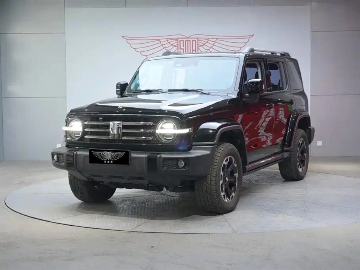 TANK 300 NEW ENERGY  2024