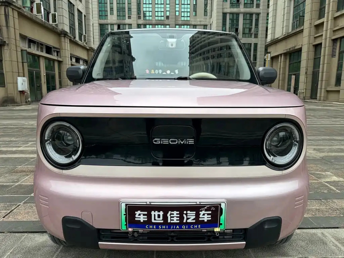 GEELY AUTO PANDA