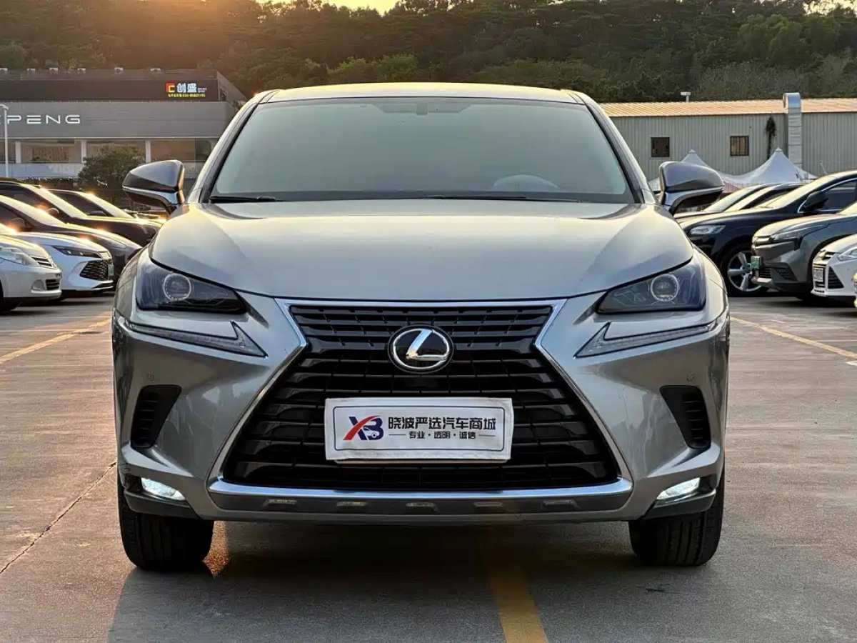 LEXUS NX