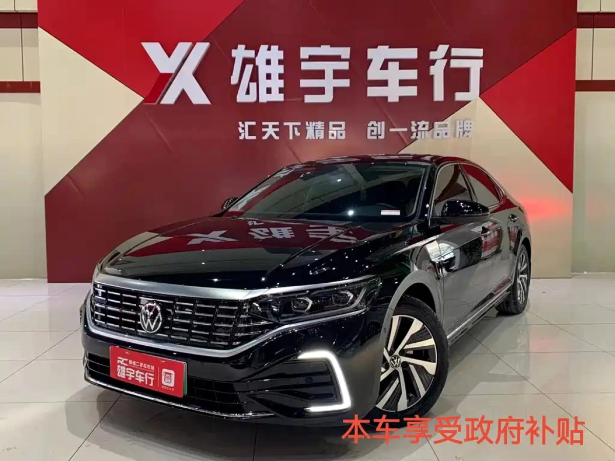 VOLKSWAGEN PASSAT NEW ENERGY  2024