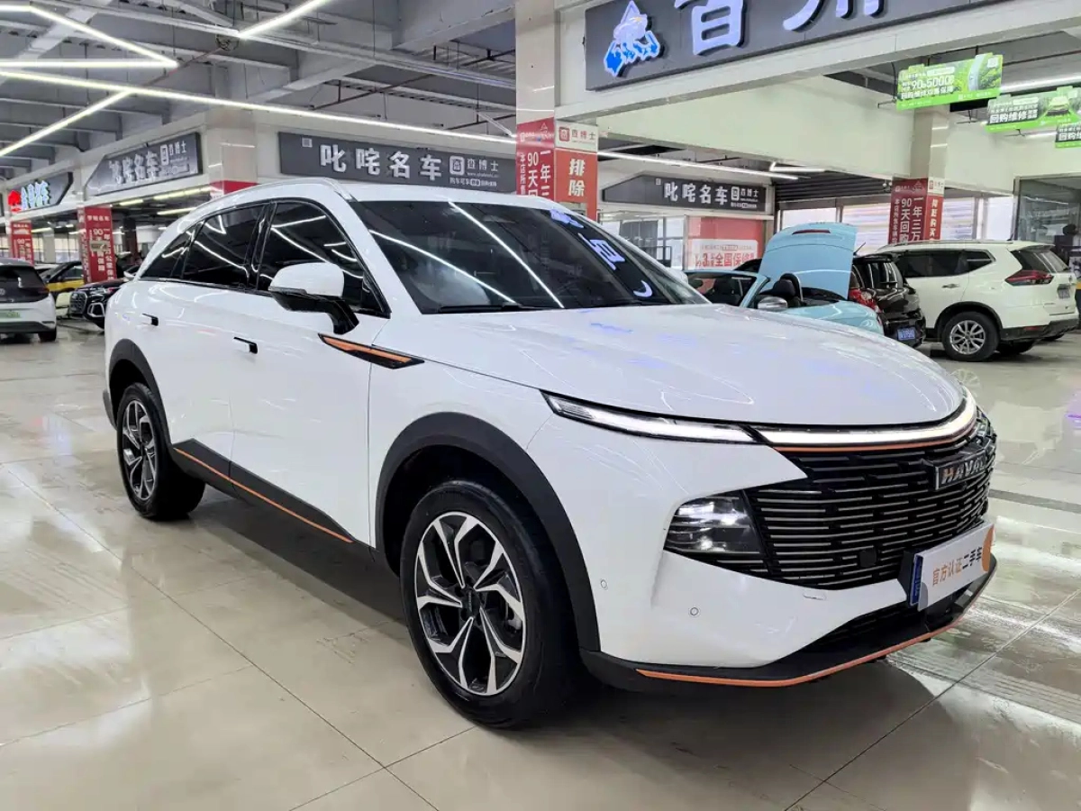HAVAL SHENSHOU  2022