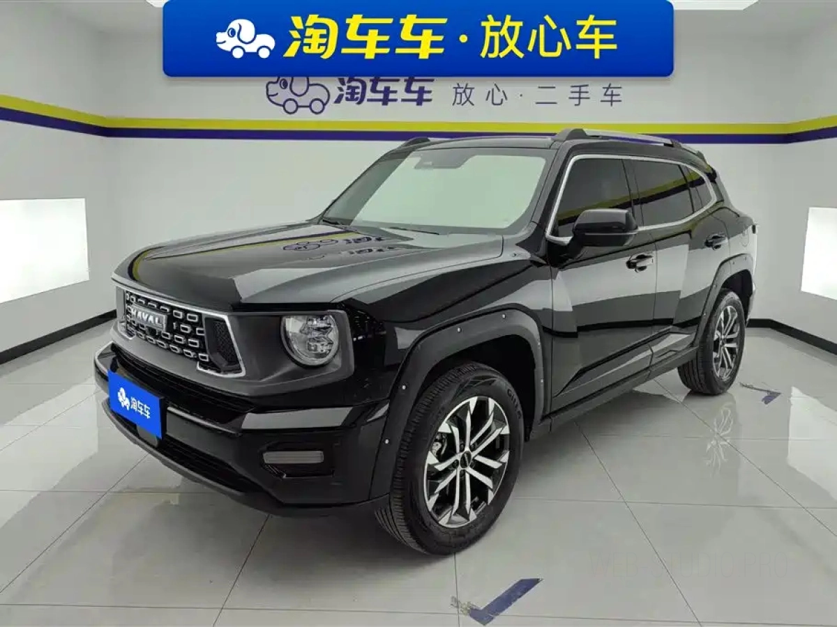 HAVAL DAGOU II  2024