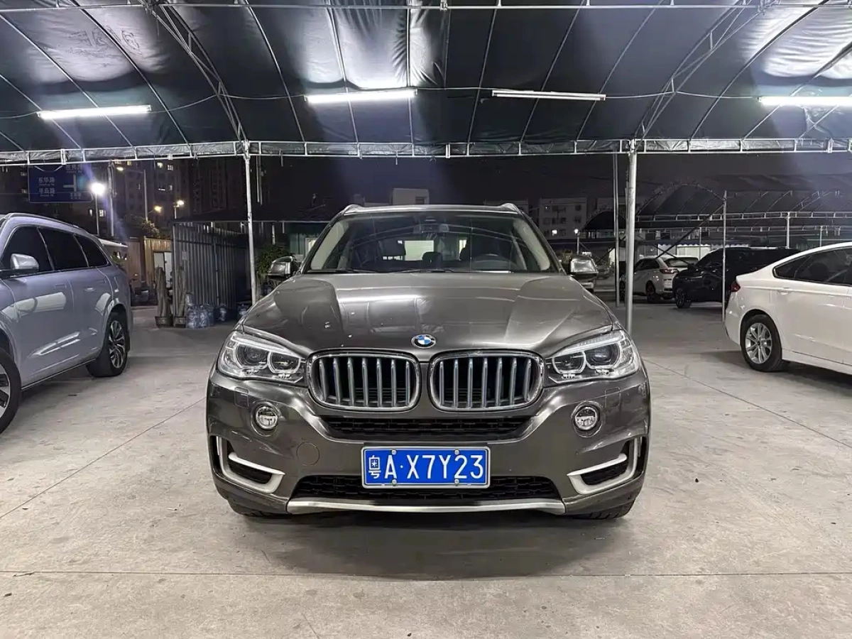BMW X5 NEW ENERGY IMPORT  2019