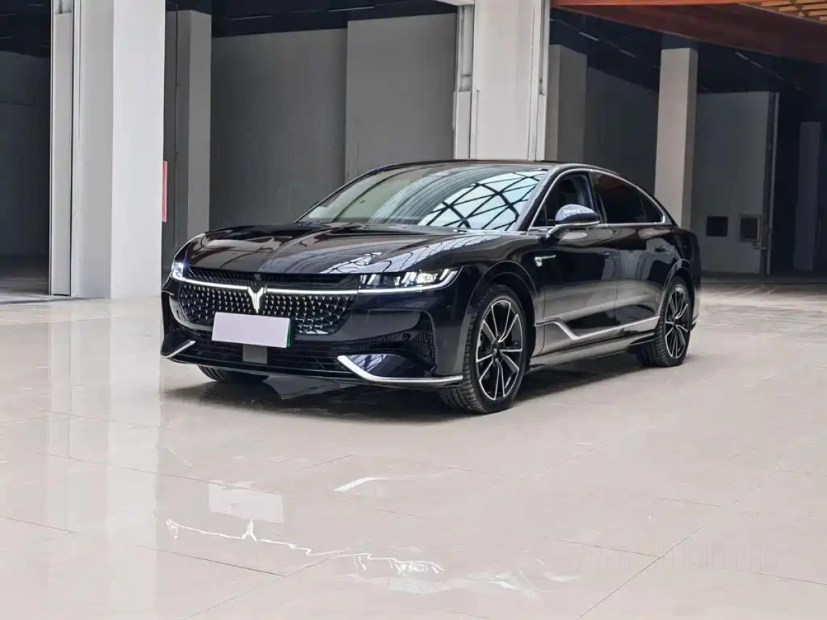 VOYAH ZHUIGUANG  2024