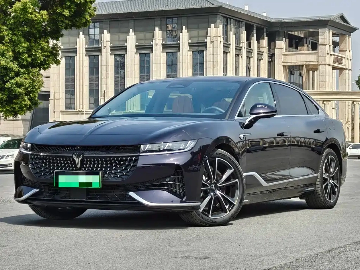 VOYAH ZHUIGUANG  2024