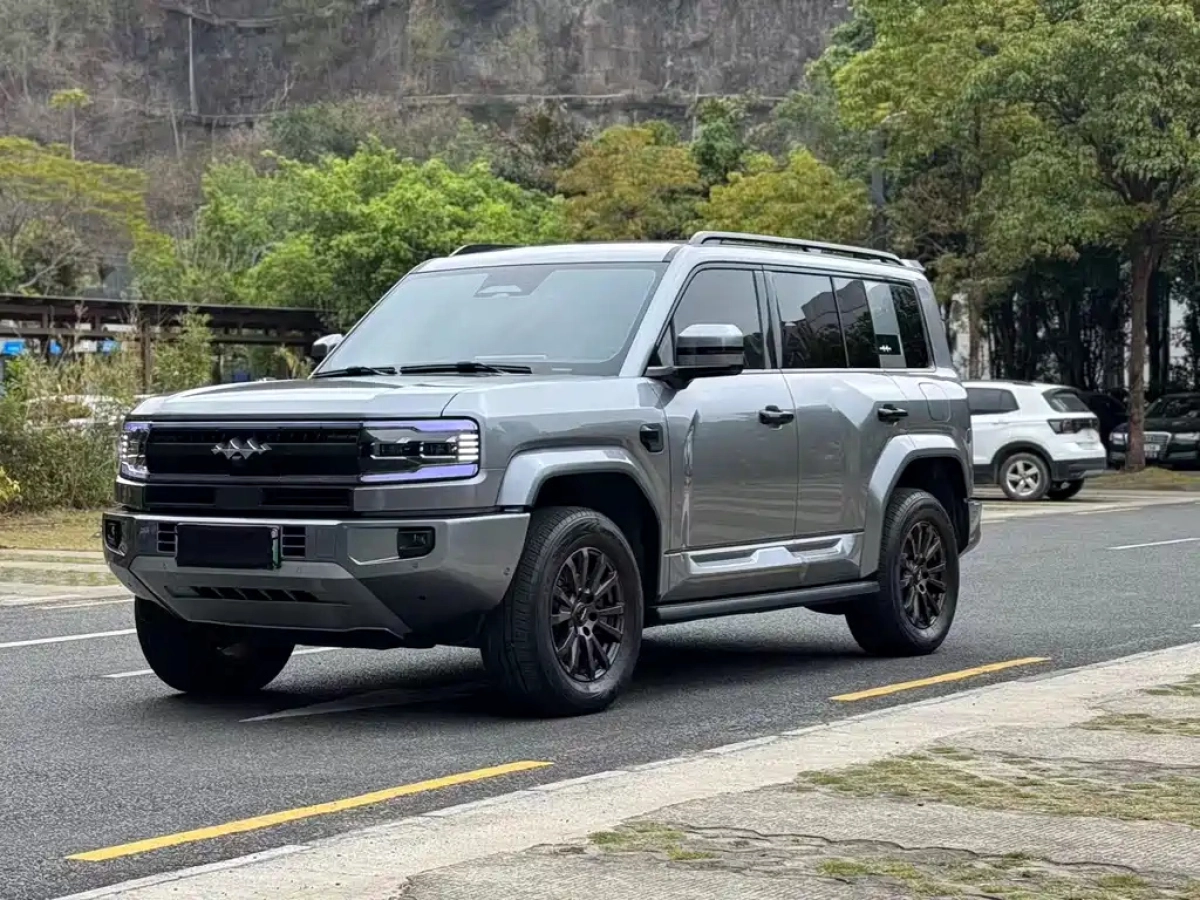 BYD FANGCHENG BAO 5  2025