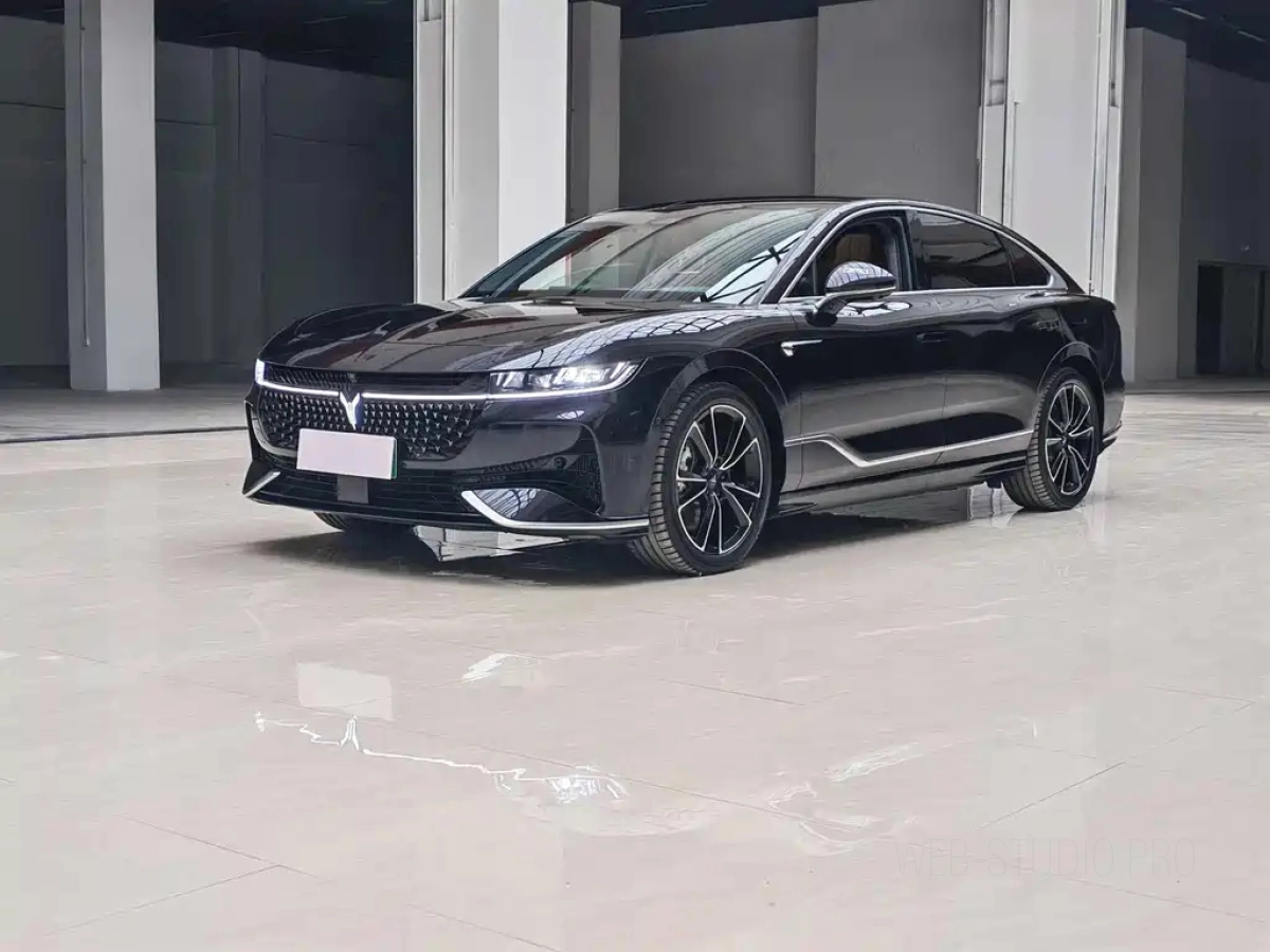 VOYAH ZHUIGUANG  2024