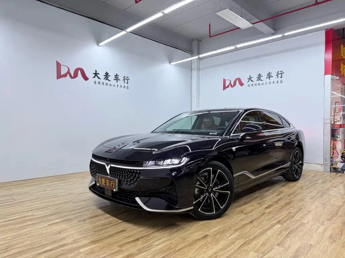 VOYAH ZHUIGUANG  2025